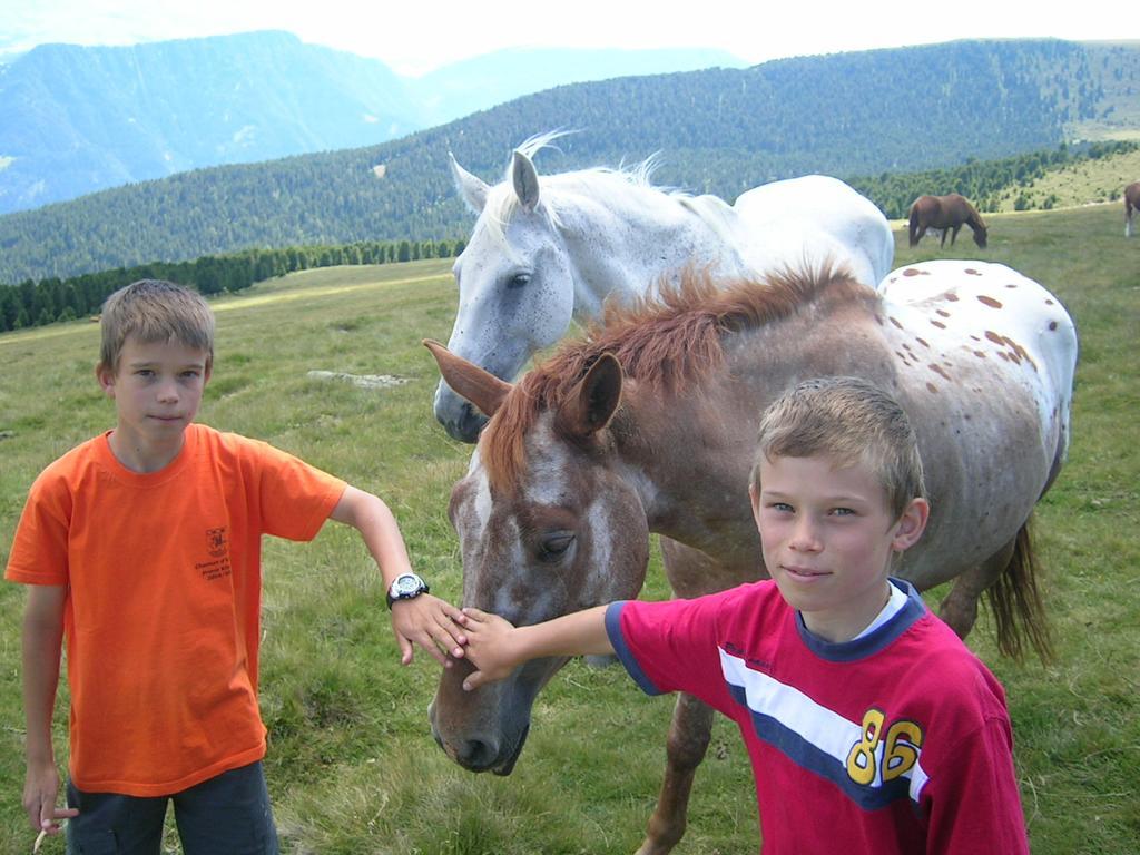 Garni Panoramik Hotel Ortisei Eksteriør billede