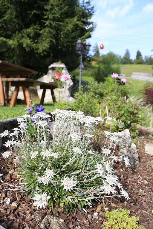 Garni Panoramik Hotel Ortisei Eksteriør billede